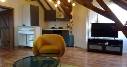 Superb apartment with Loire view under the roofs