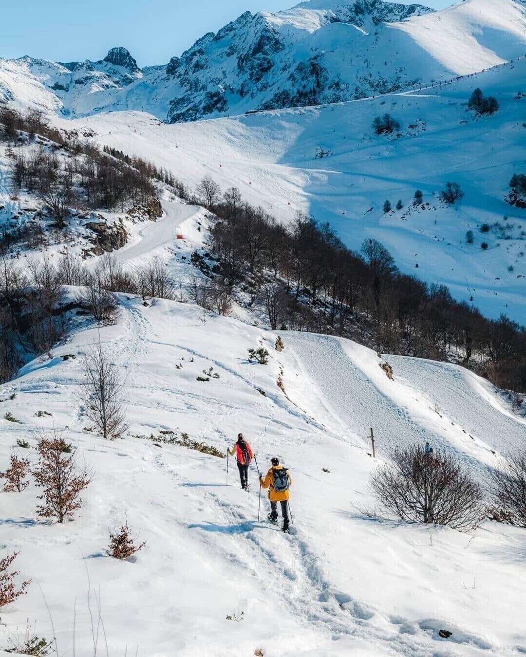 Snø- og skisport