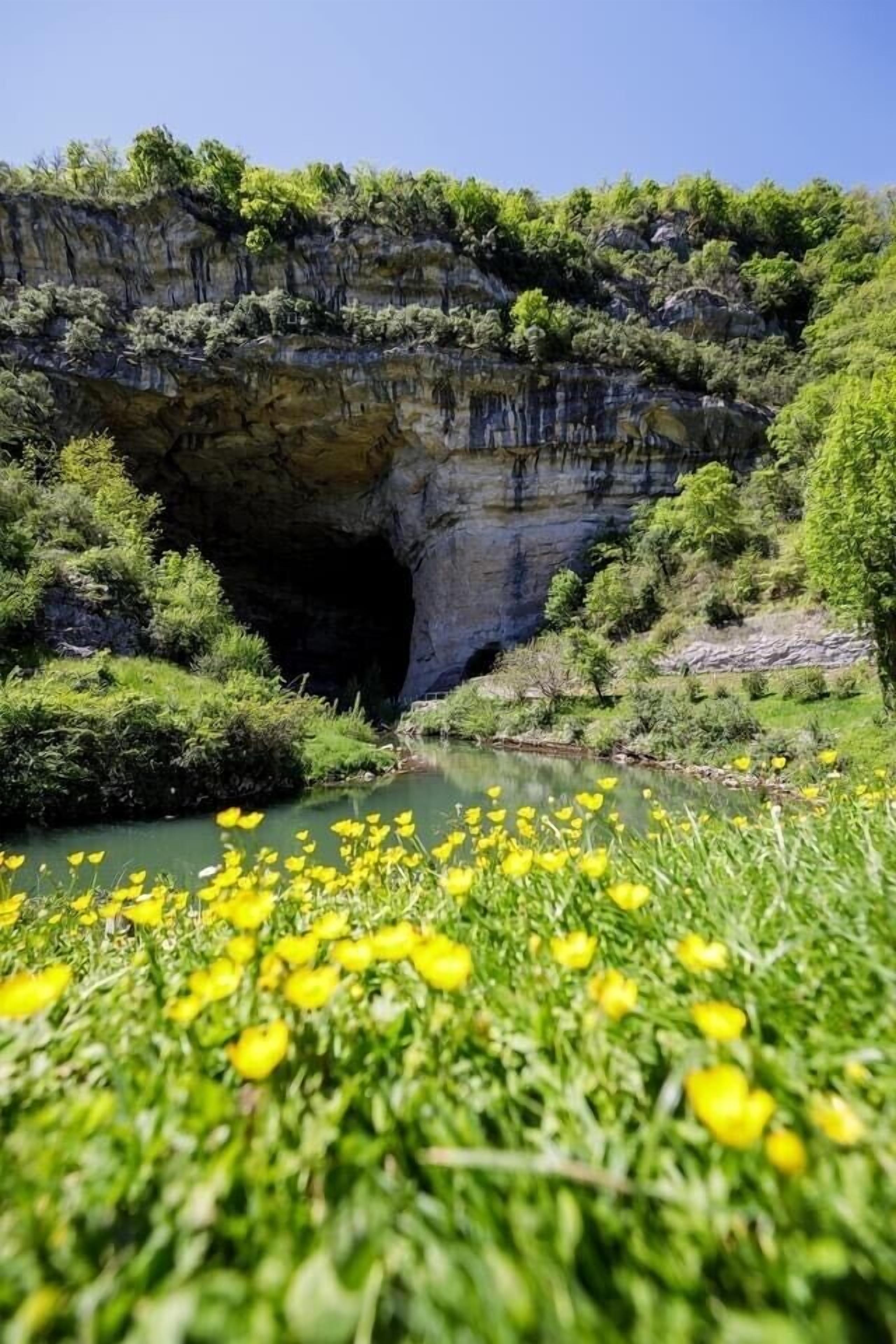 A natural landscape with a cave entrance, lush greenery, and a river.