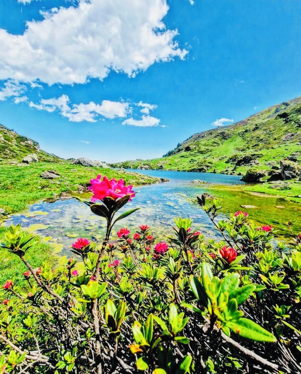 A clear view of a lake surrounded by green hills and a bright blue sky.