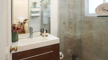 Chuveiro, secador de cabelo, toalhas de banho, sabonete