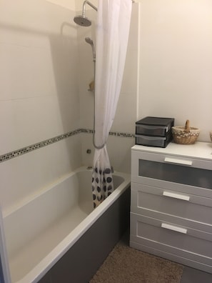 Combined shower/bathtub, hair dryer