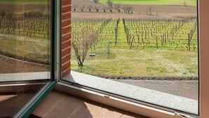 A large arched window with a vineyard view. - Tenuta Montemagno (Montemagno)