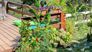 A wooden deck with a view of a mountainous landscape. - Agva Green Blue Otel (Sile)