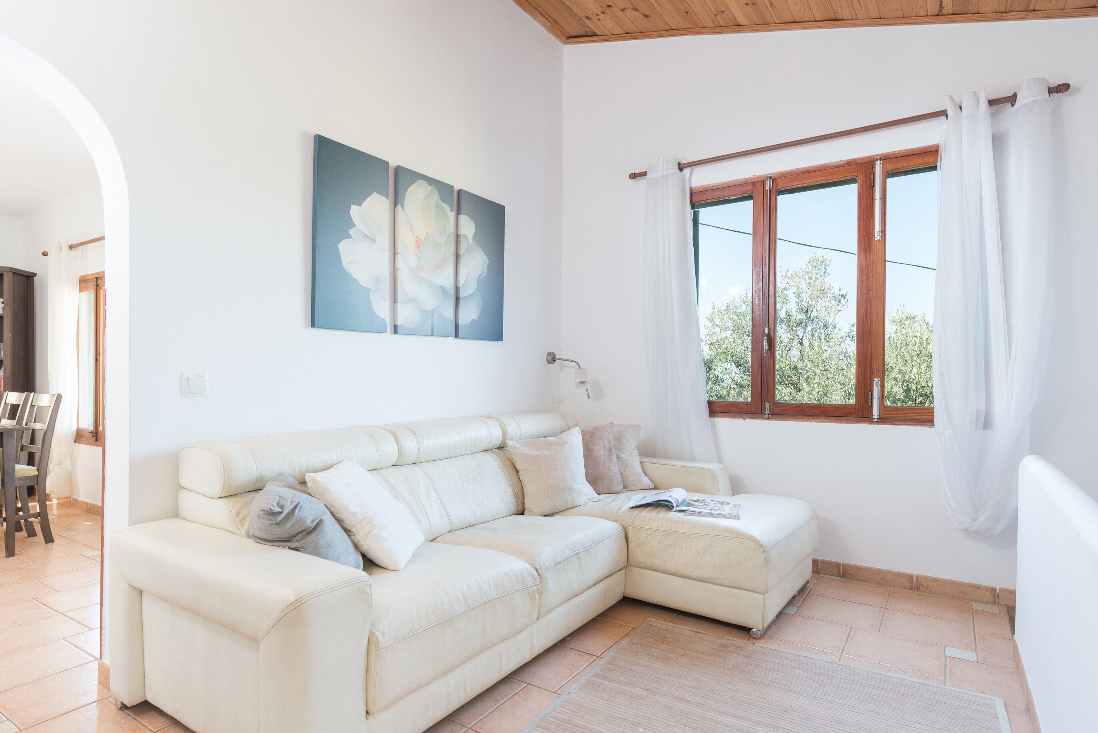 TV, fireplace, DVD player