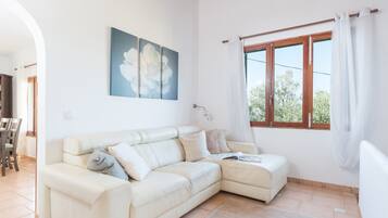 TV, fireplace, DVD player