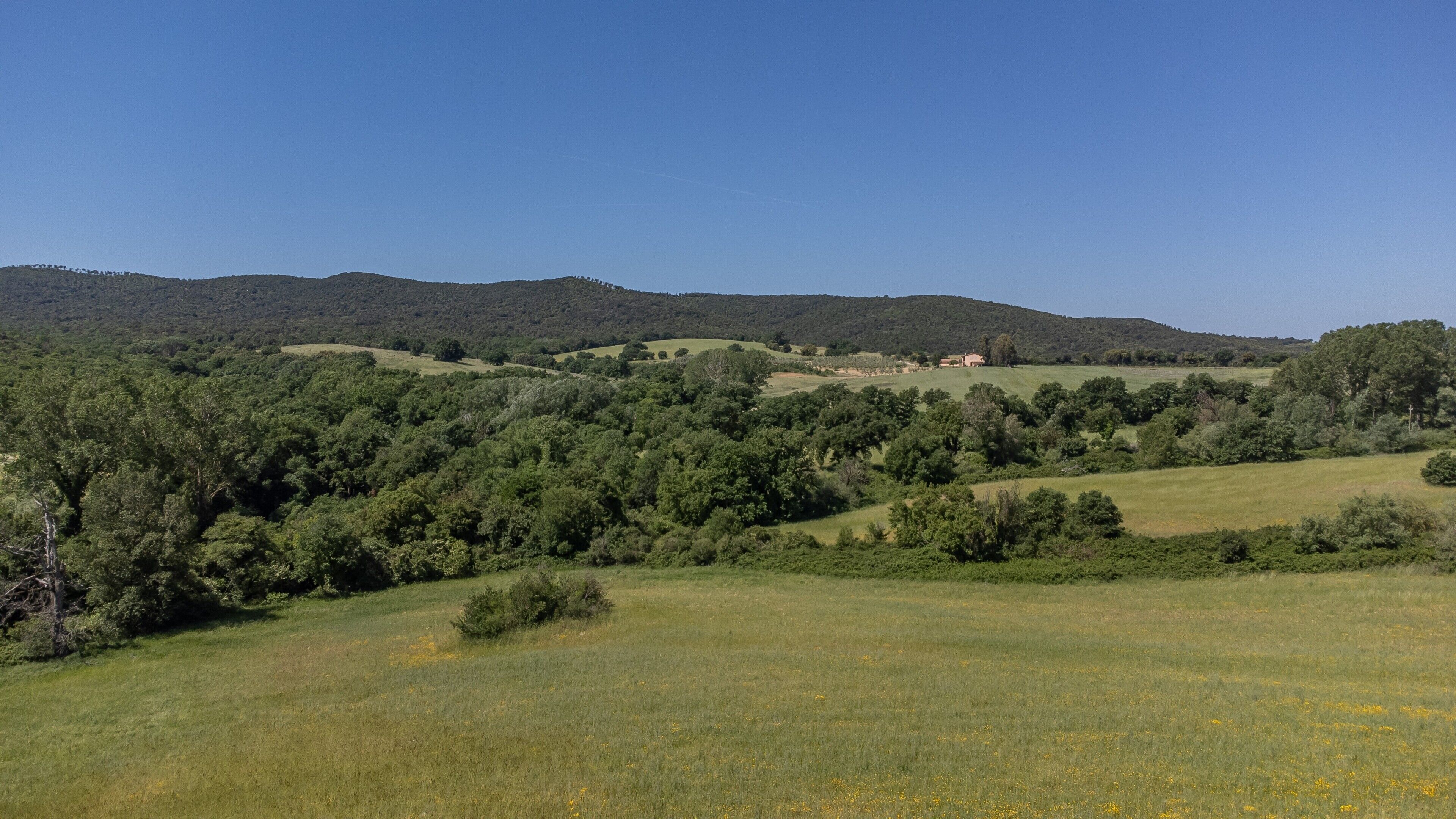A rural landscape with rolling hills, dense greenery, and a few scattered buildings.