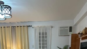 Un salon avec un canapé, un téléviseur, une plante et une fenêtre avec des rideaux.