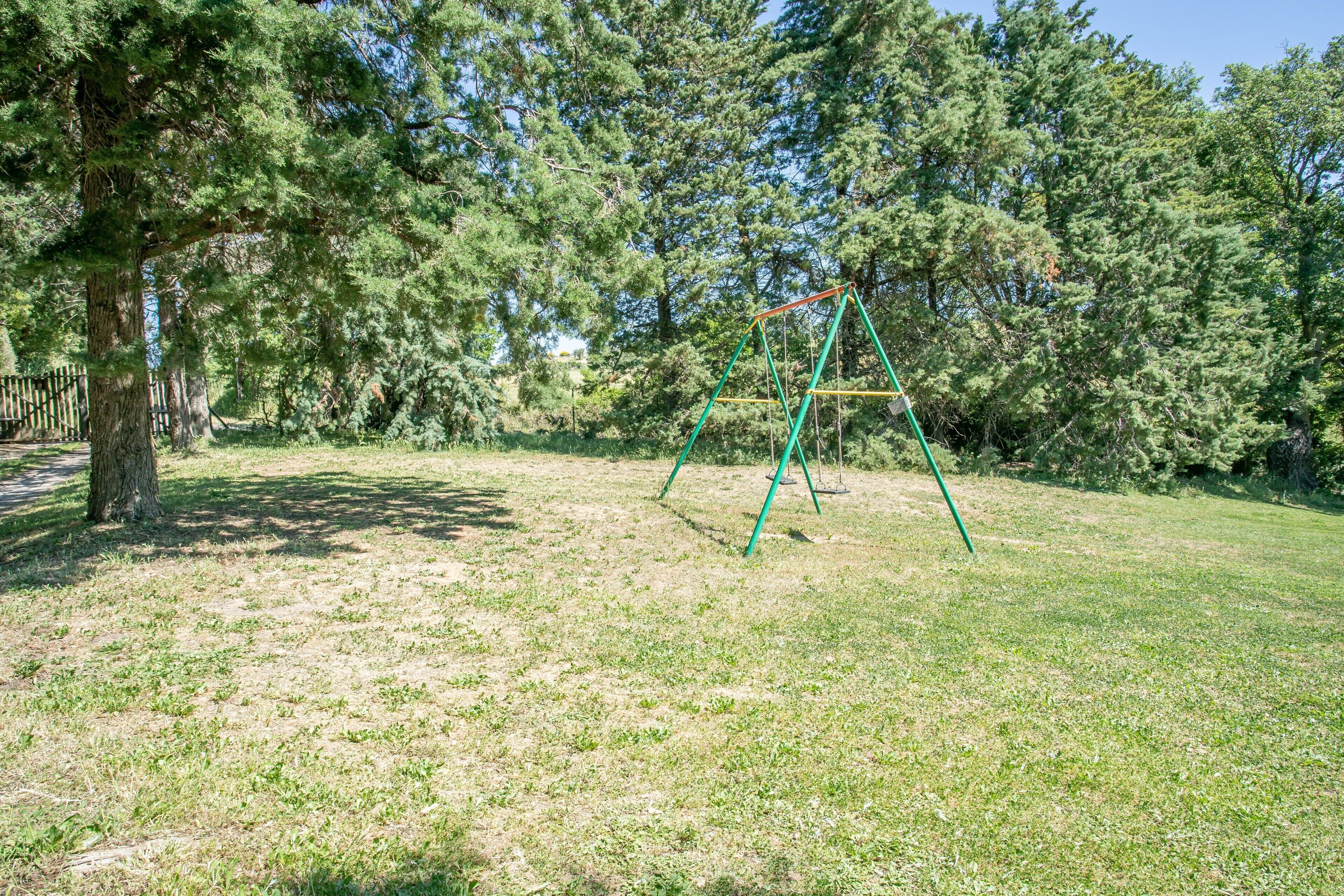A grassy area with a swing set and a tree.