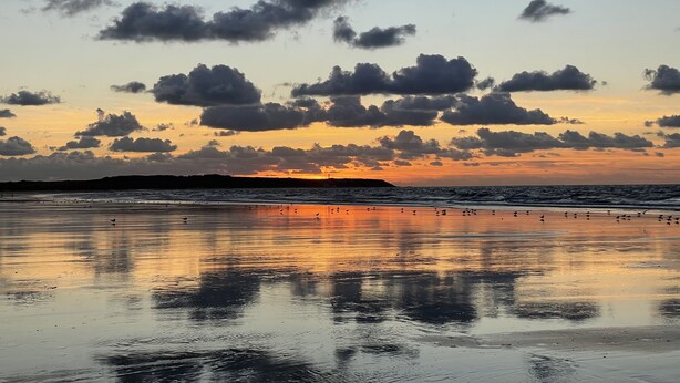 Una playa con un atardecer, nubes y aves.