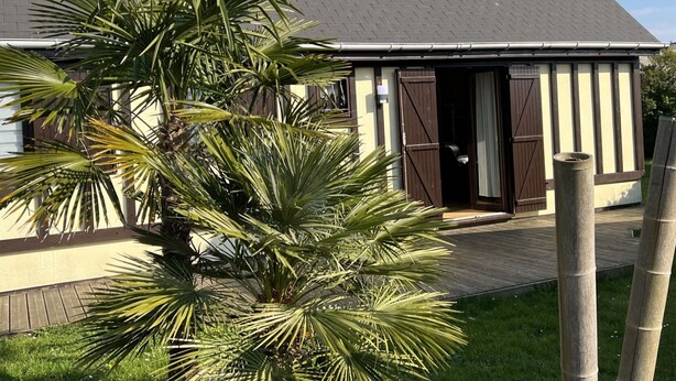 A house with a grey roof, a wooden door, and a small window.