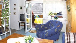 Ett vardagsrum med en blå soffa, ett träskåp och en tv.