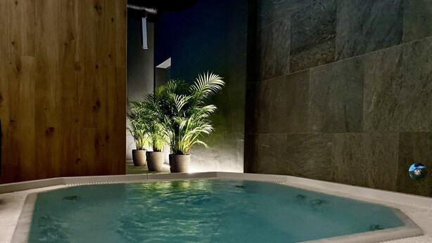 Un jacuzzi con borde de azulejos, rodeado de plantas en macetas y un muro de madera.