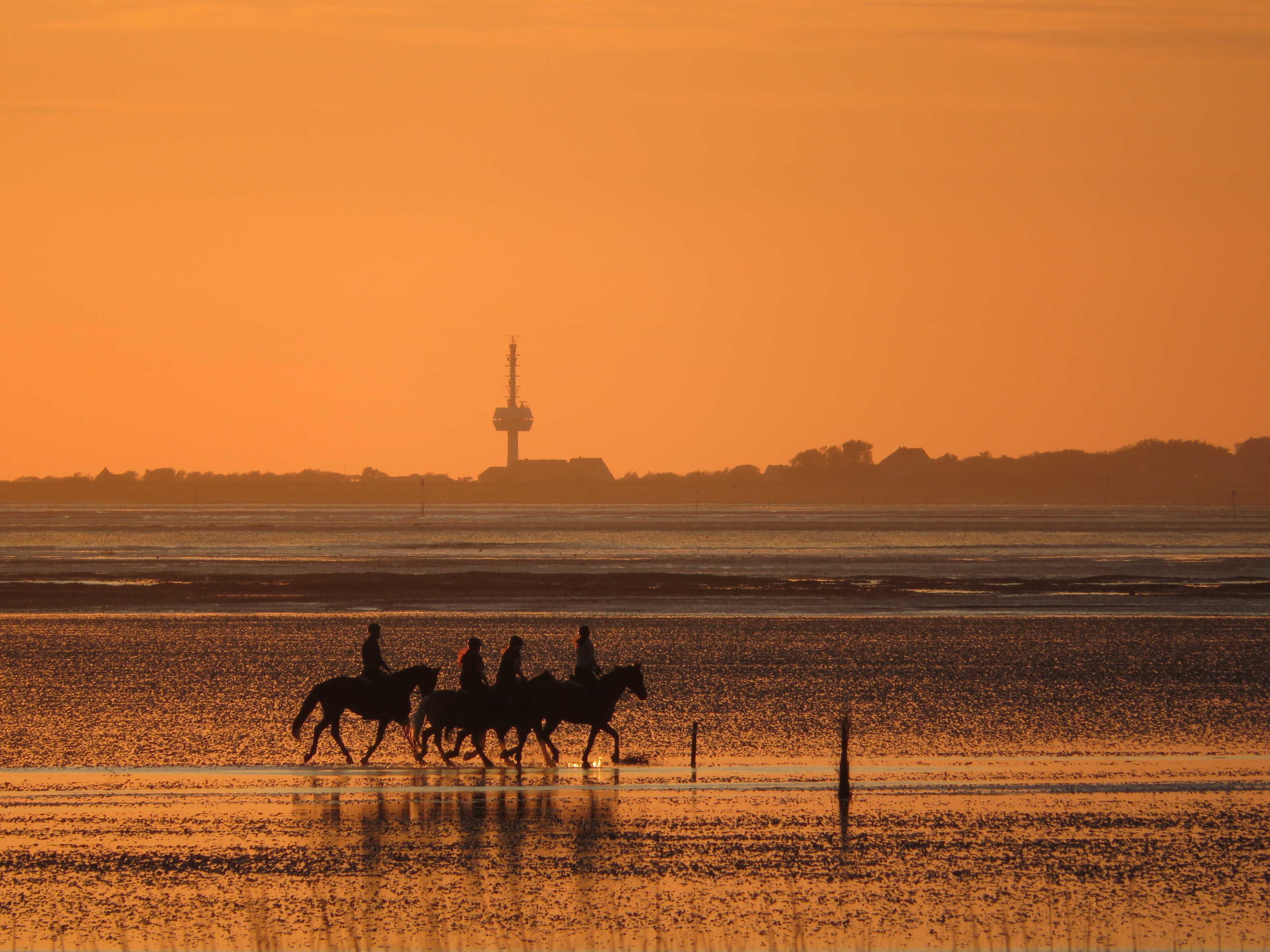 A sunset over a beach with horse riders in the foreground and a tower in the background.