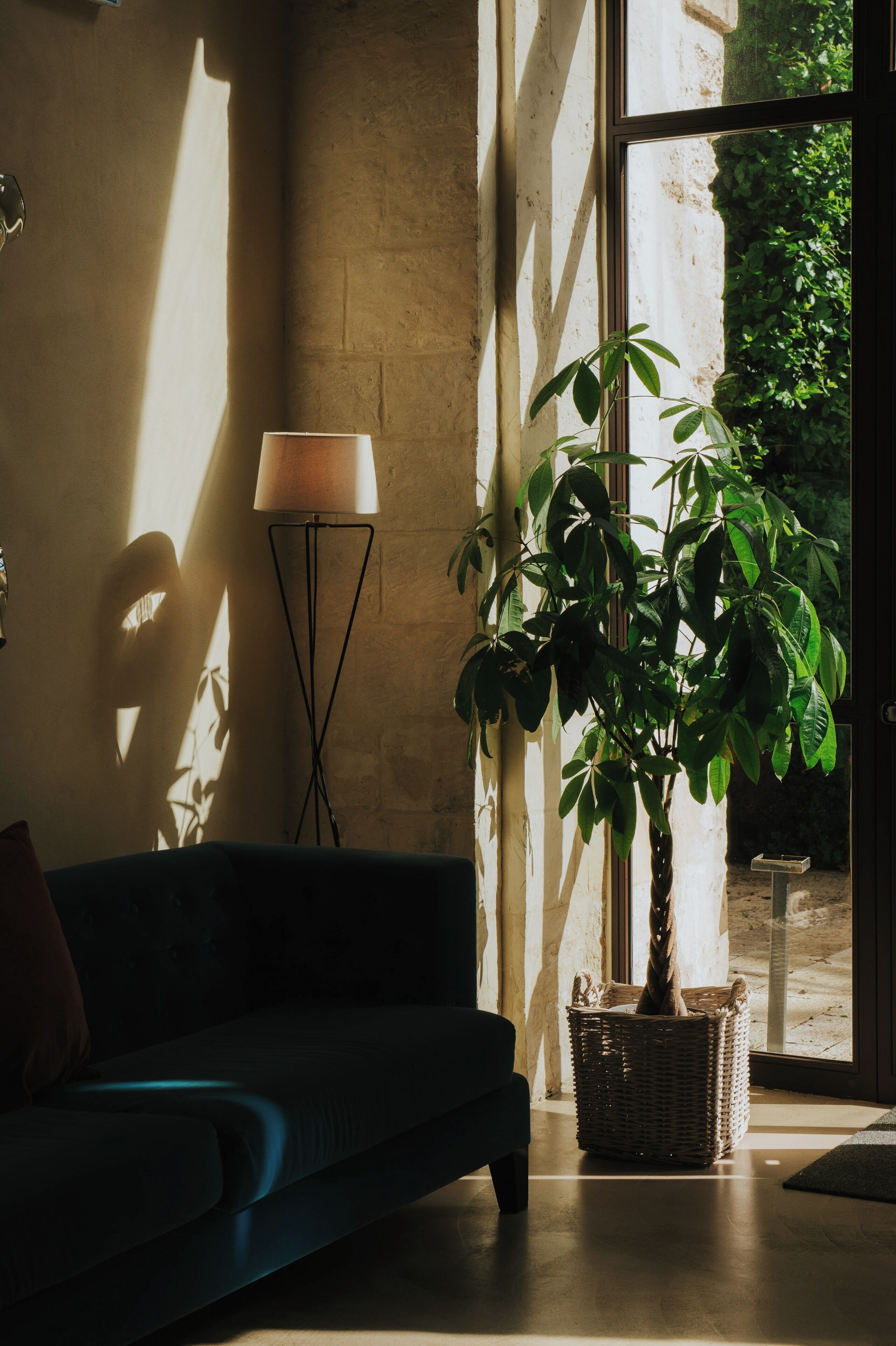 Una habitación con un sofá, una lámpara de pie, una planta en maceta y vistas por una ventana.