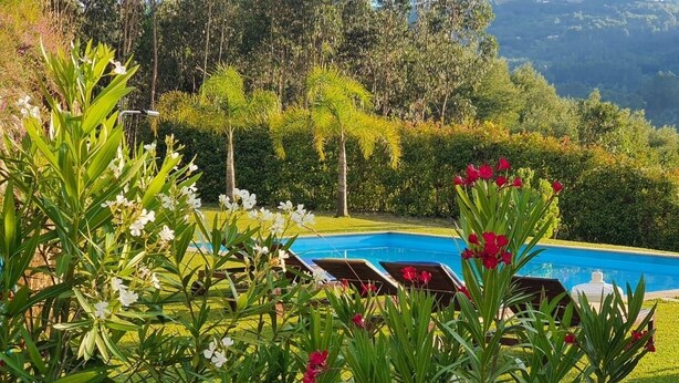 A poolside area with lounge chairs, a pool, and a view of a forested hillside.