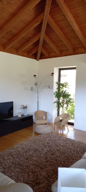 Relax in this stylish living room with a flat-screen TV, comfortable wicker chairs, and a cozy rug.