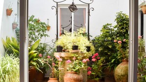 Un petit patio clos, doté de carreaux de terre cuite, de différentes plantes en pot et d’un portail décoratif en métal.