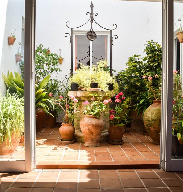 A small, enclosed patio area with terracotta tiles, various potted plants, and a decorative metal gate.