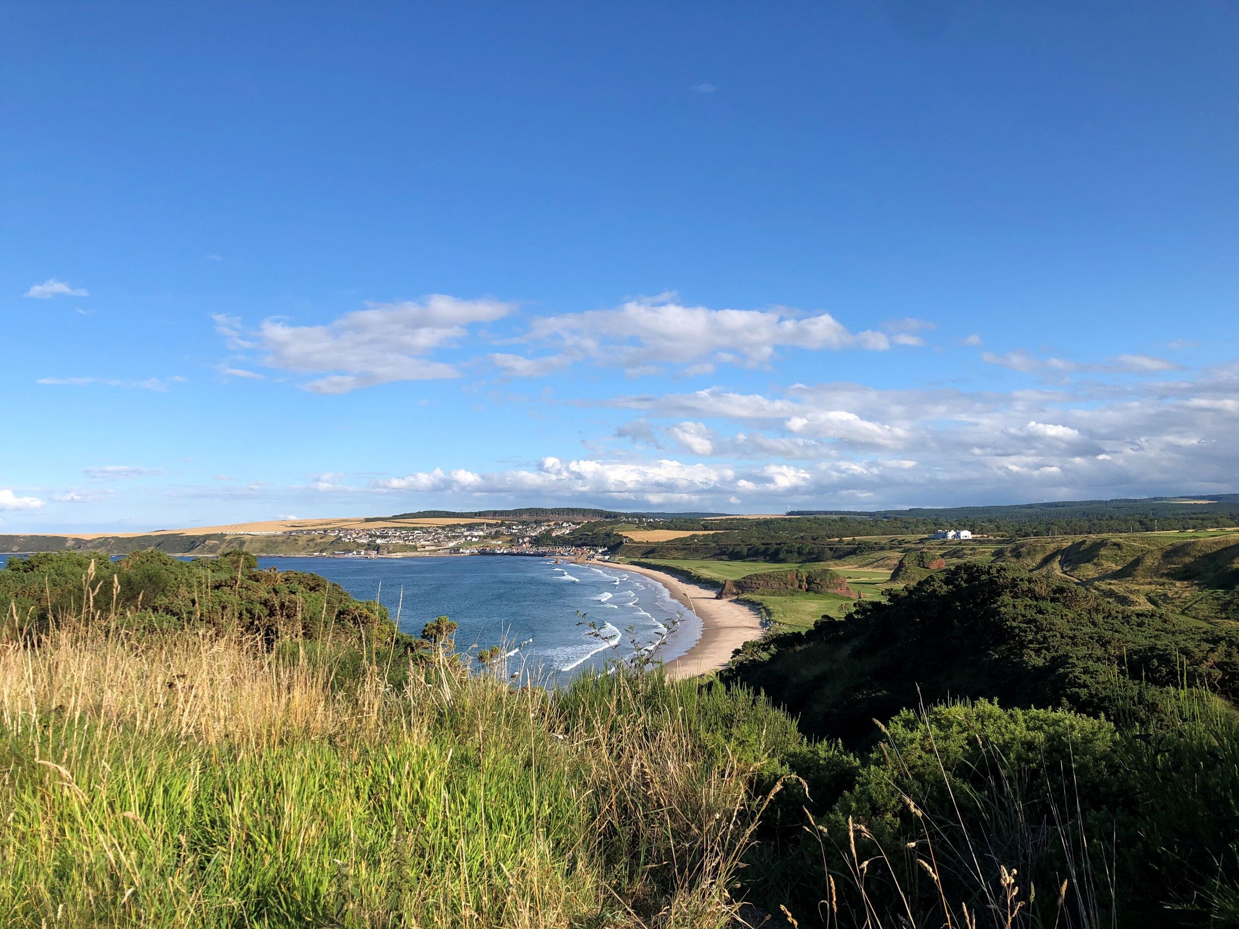 A coastal landscape with a beach, grassy hills, and a town in the distance.