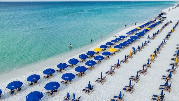 A beach with rows of blue and yellow umbrellas and sun loungers.