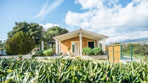 Ein kleines Haus mit einer Steinaußenwand, einem Holztor und einem Garten mit Grünpflanzen.