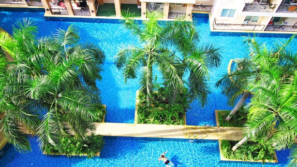 Une grande piscine entourée de palmiers et bordée d’une terrasse en bois.