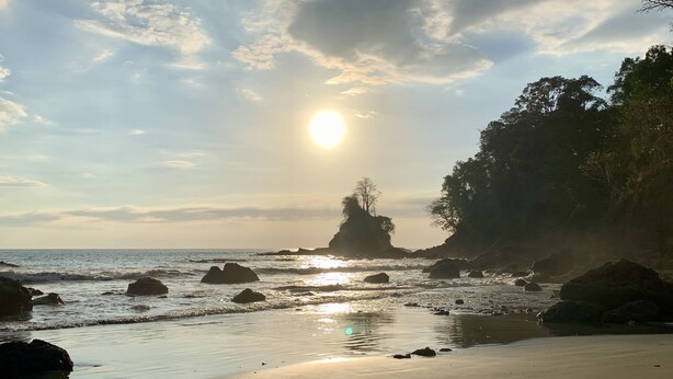 A beach with rocks and a tree in the distance. - Villa Mar y Sol: 4 Independent Apartments in Quiet, Natural Area w/ wildlife! (Manuel Antonio)
