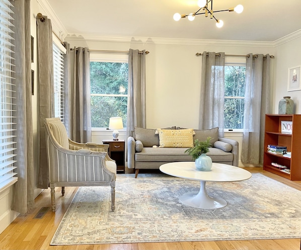 Smart TV, fireplace, books, computer monitors