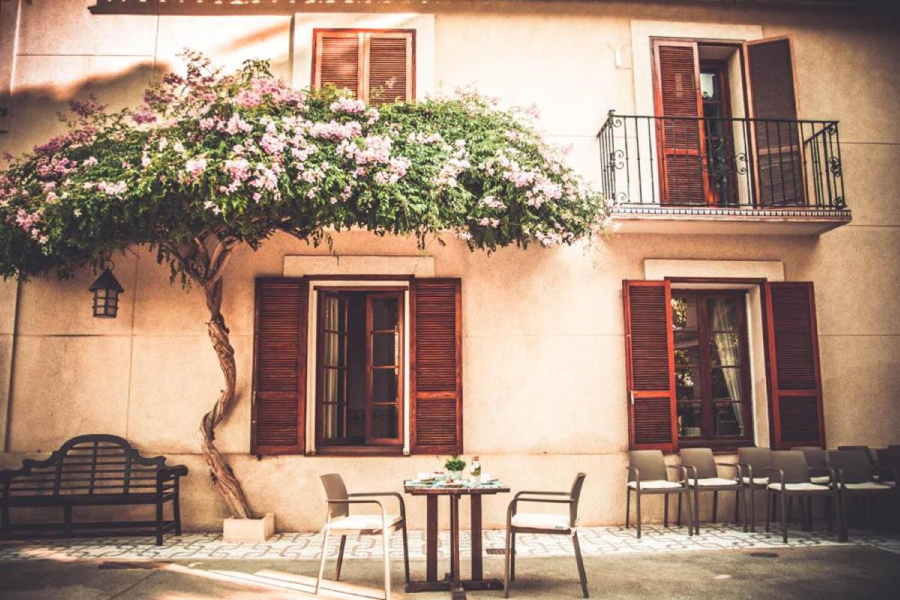 واجهة المنشأة