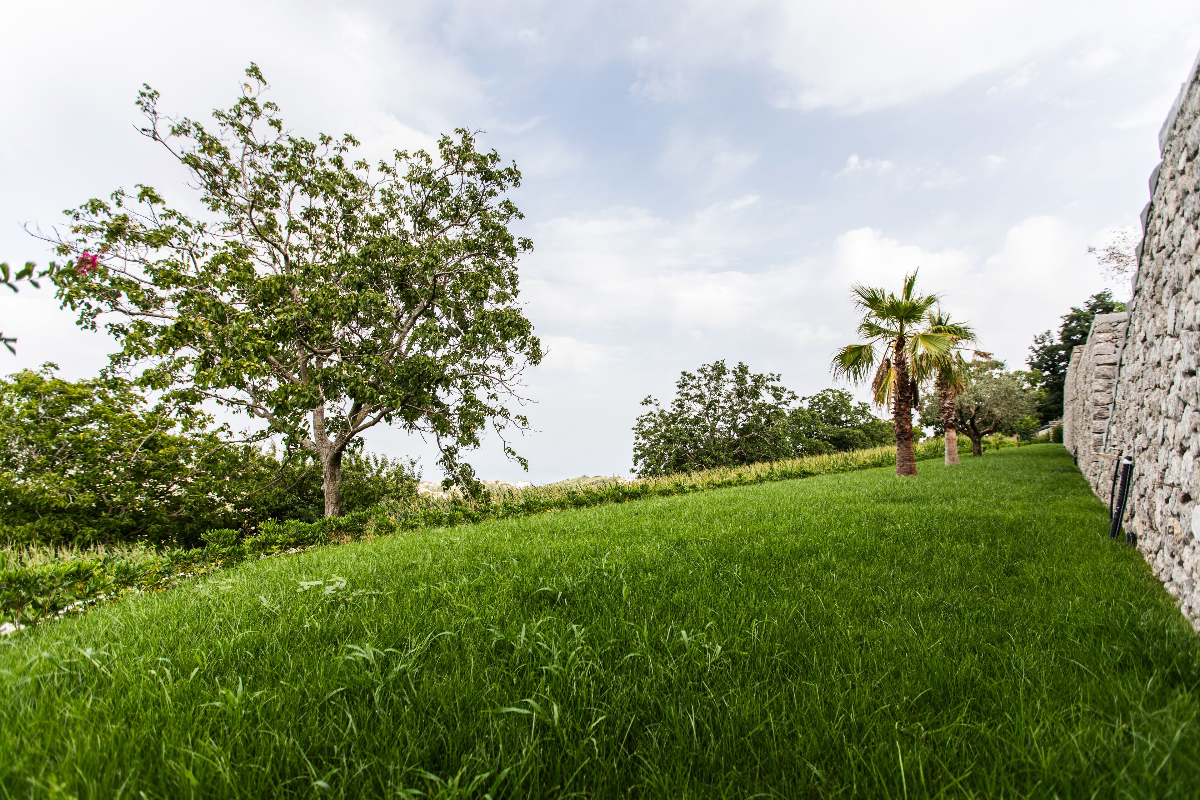 A grassy pathway with trees and a stone wall.
