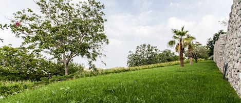 A grassy pathway with trees and a stone wall.