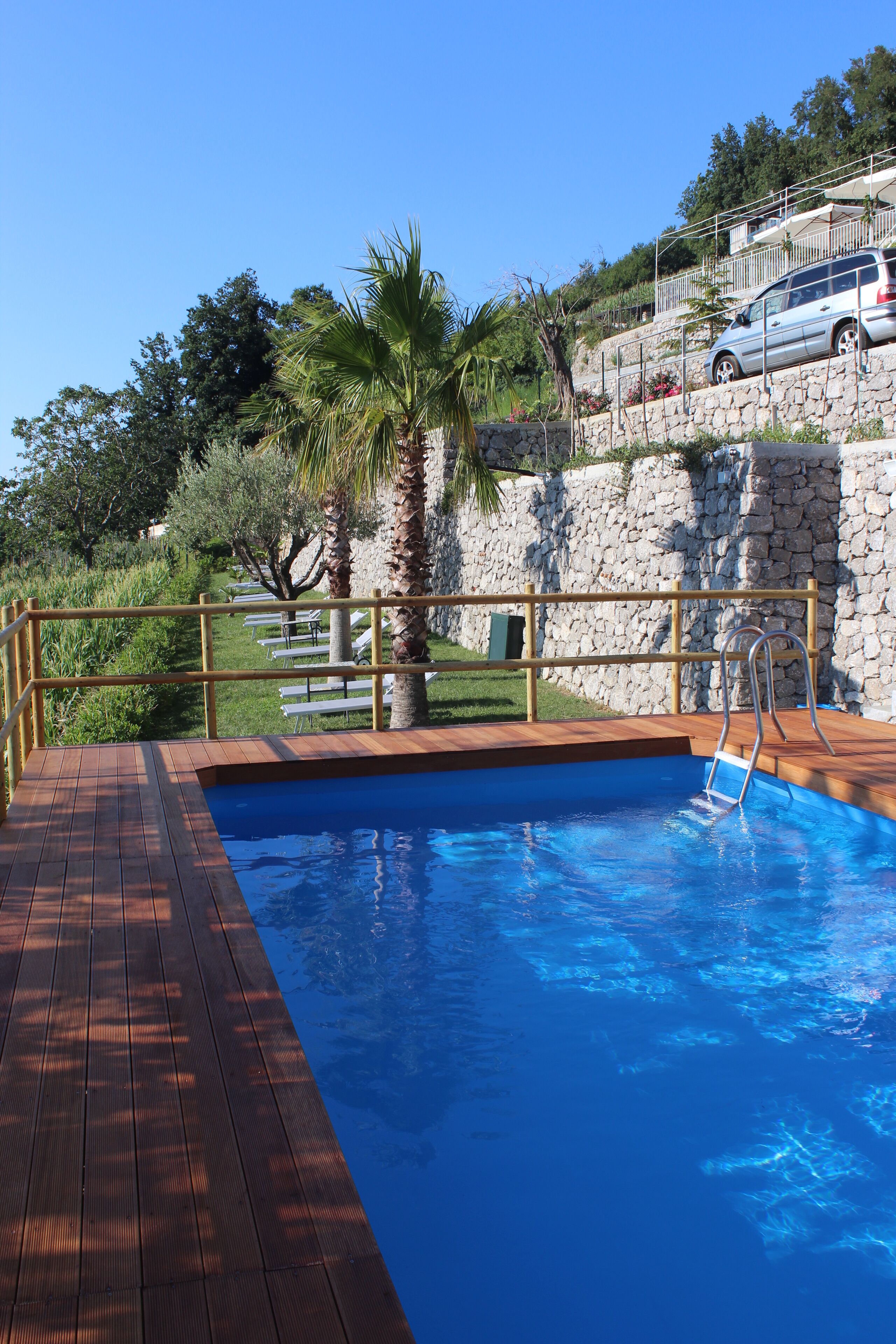 A swimming pool with a wooden deck, a palm tree, and a stone wall in the background.