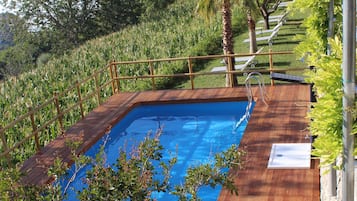 Seasonal outdoor pool, pool umbrellas, pool loungers