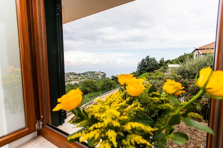 View from room. Panariello Palace