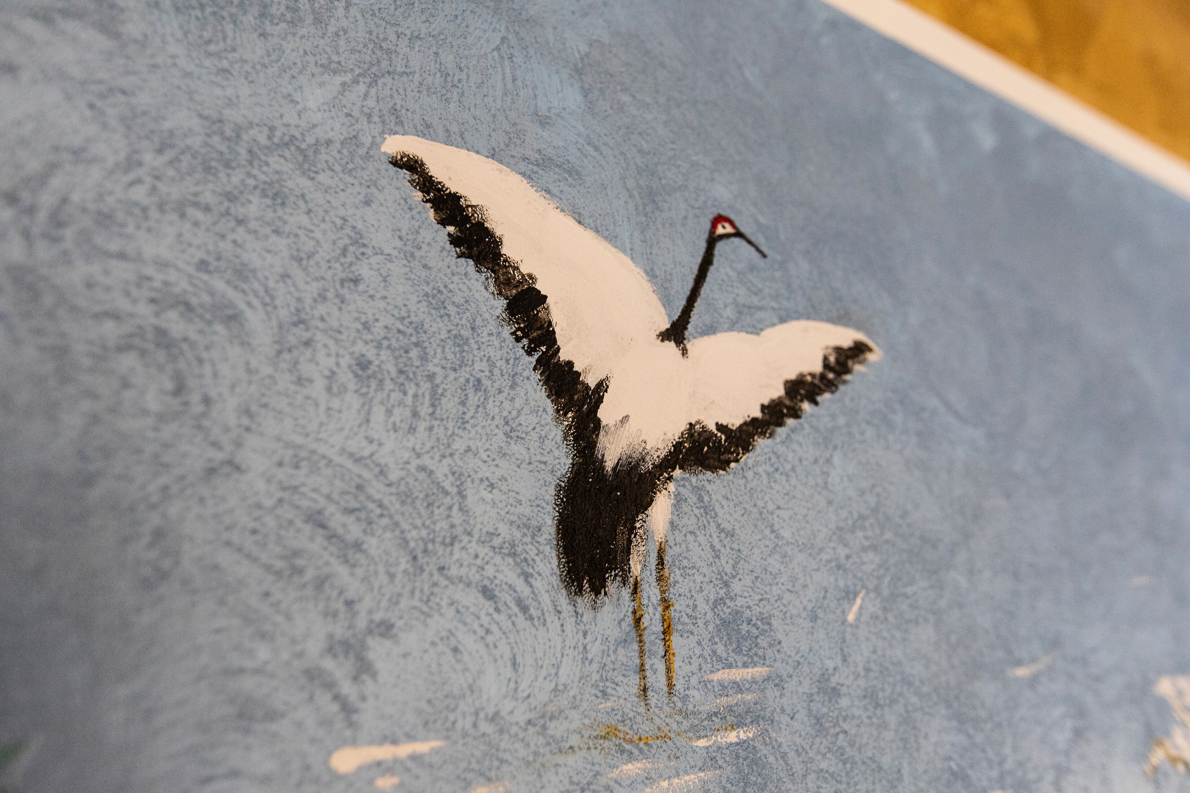 A bird, possibly a crane, with a red beak and black and white feathers, standing on a blue background.