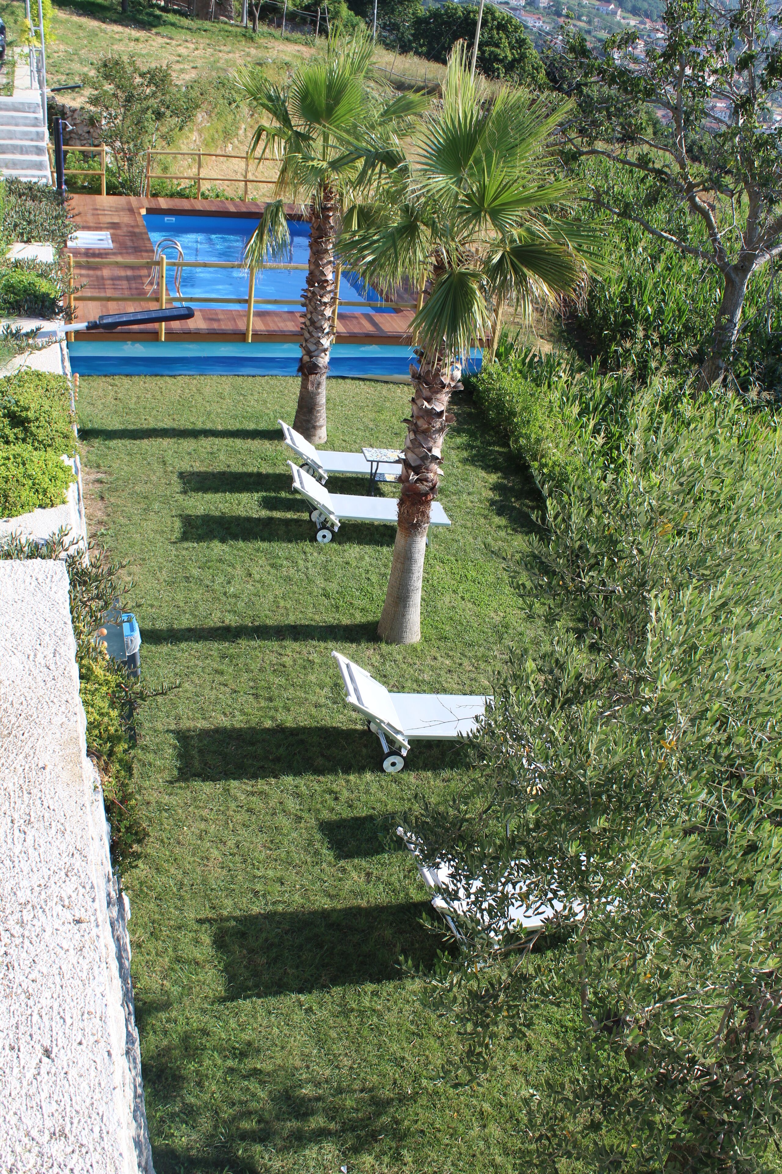 A pool area with lounge chairs and palm trees.