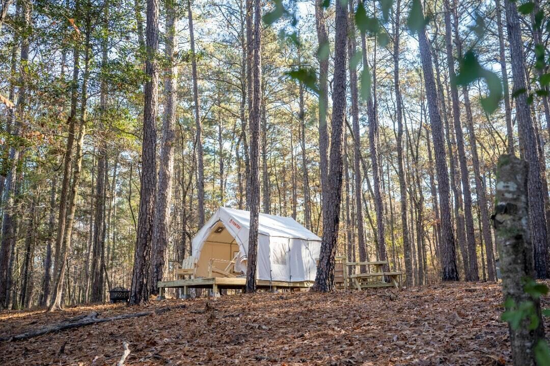 Tentrr State Park Site - Mississippi Clarkco State Park - Lakeview C - Single Ca
