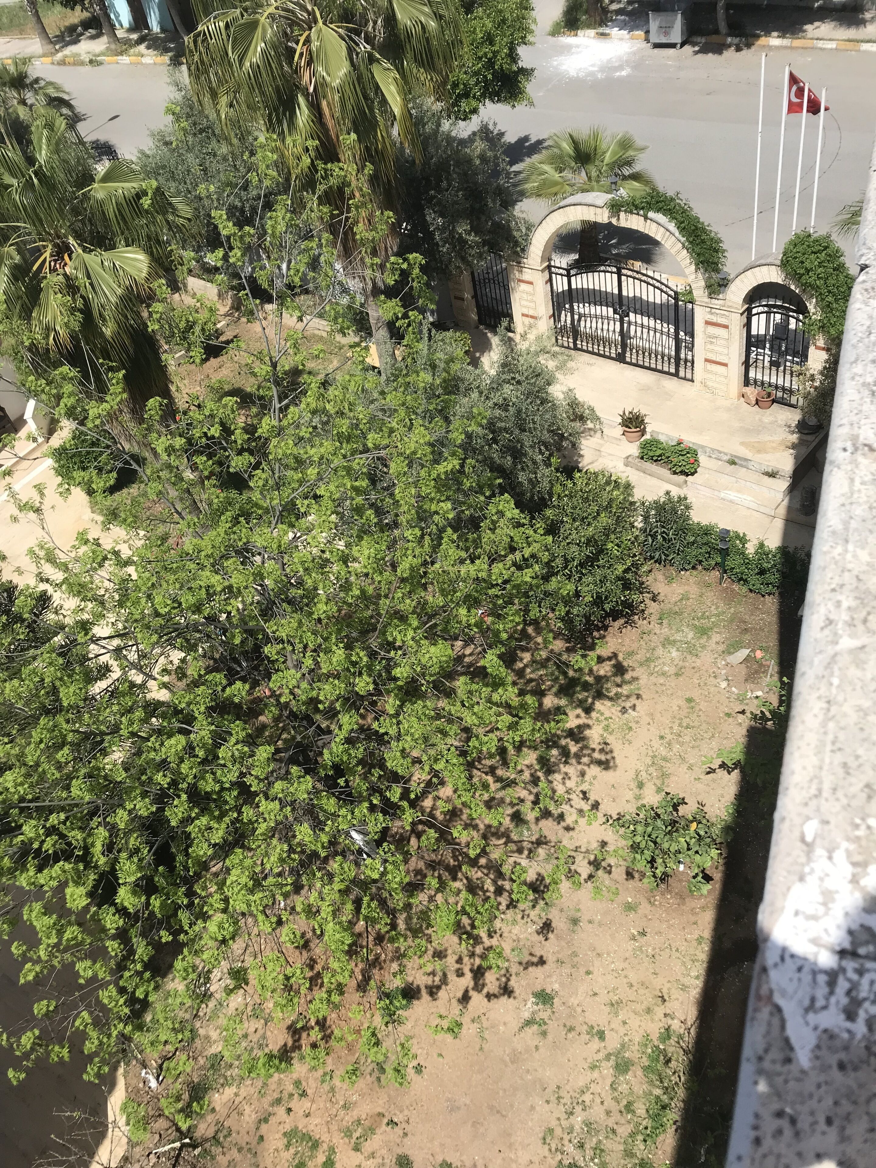 Foto - Kahraman Hotel