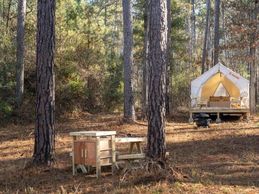 Tentrr State Park Site - Mississippi Clarkco State Park - Trailside E - Single C