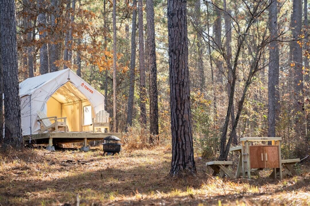 Tentrr State Park Site - Mississippi Clarkco State Park - Trailside E - Single C