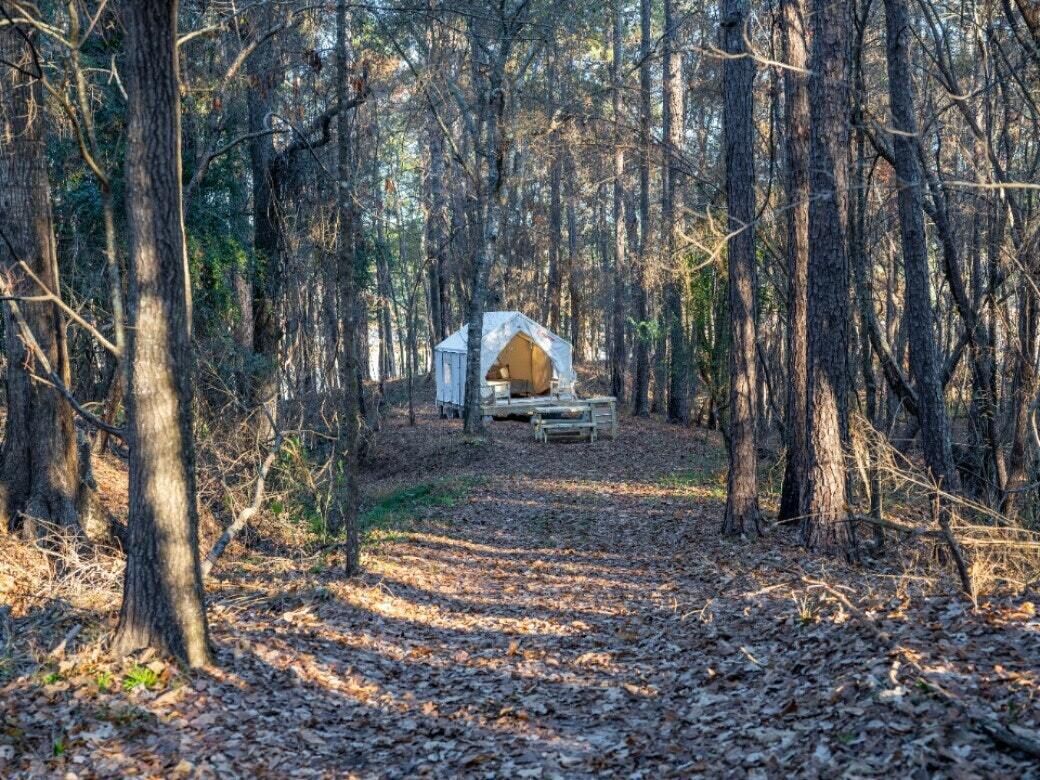 Tentrr State Park Site - Mississippi Clarkco State Park - Highridge G - Single C