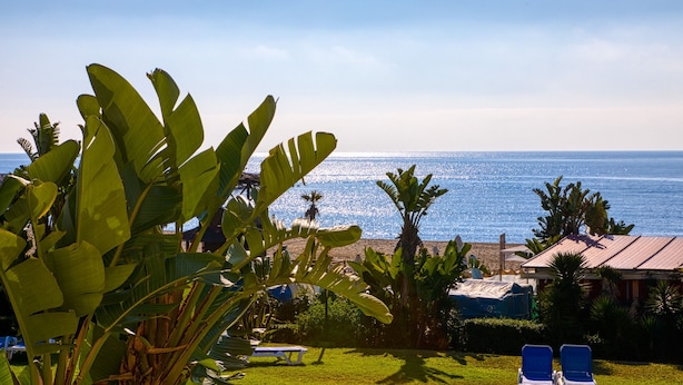 Vista di una spiaggia con cielo sereno, area piscina con lettini e piante tropicali.