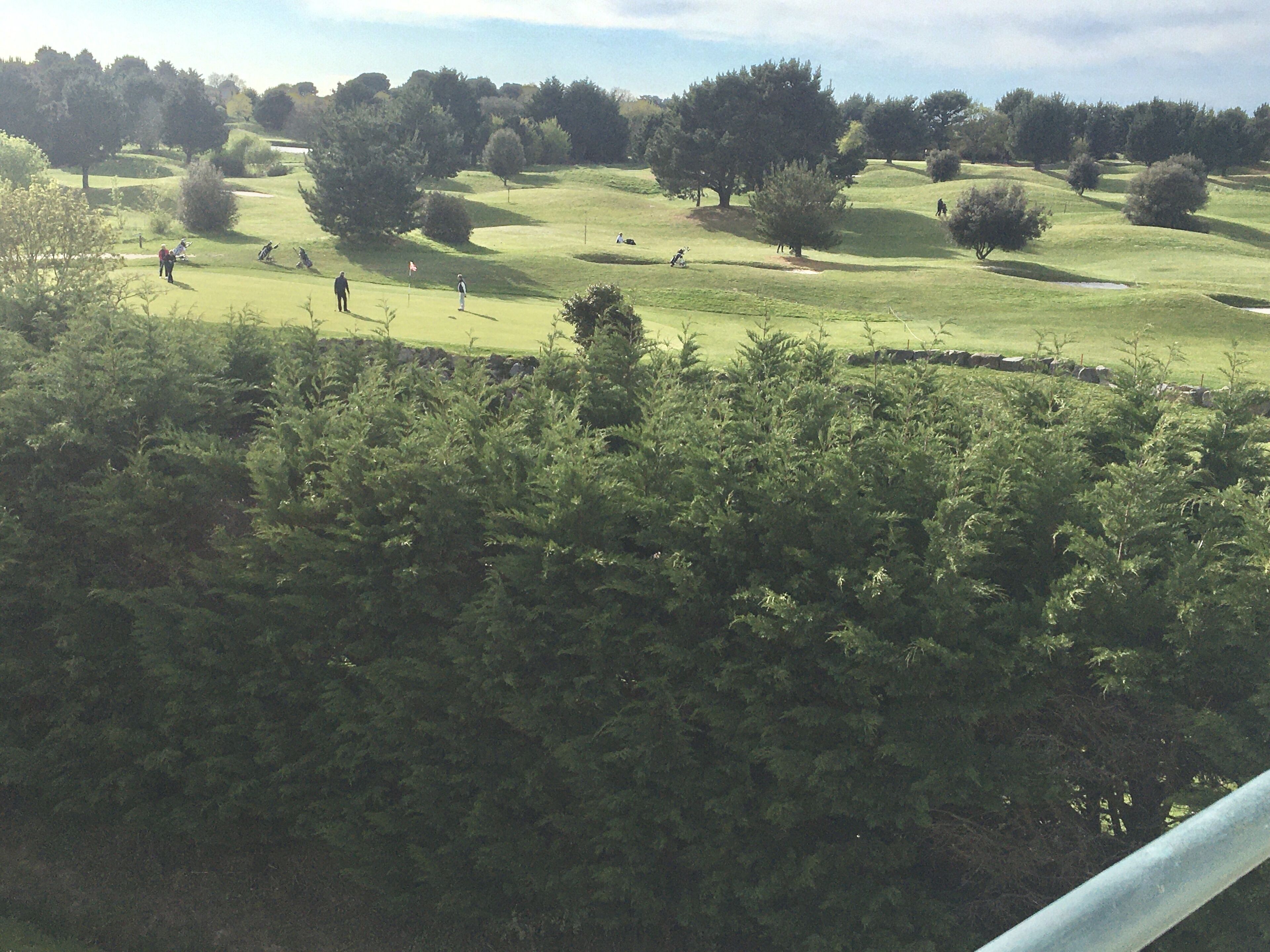 Golf