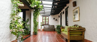 Dulce Como la Caña / Sweet Like Sugar Cane