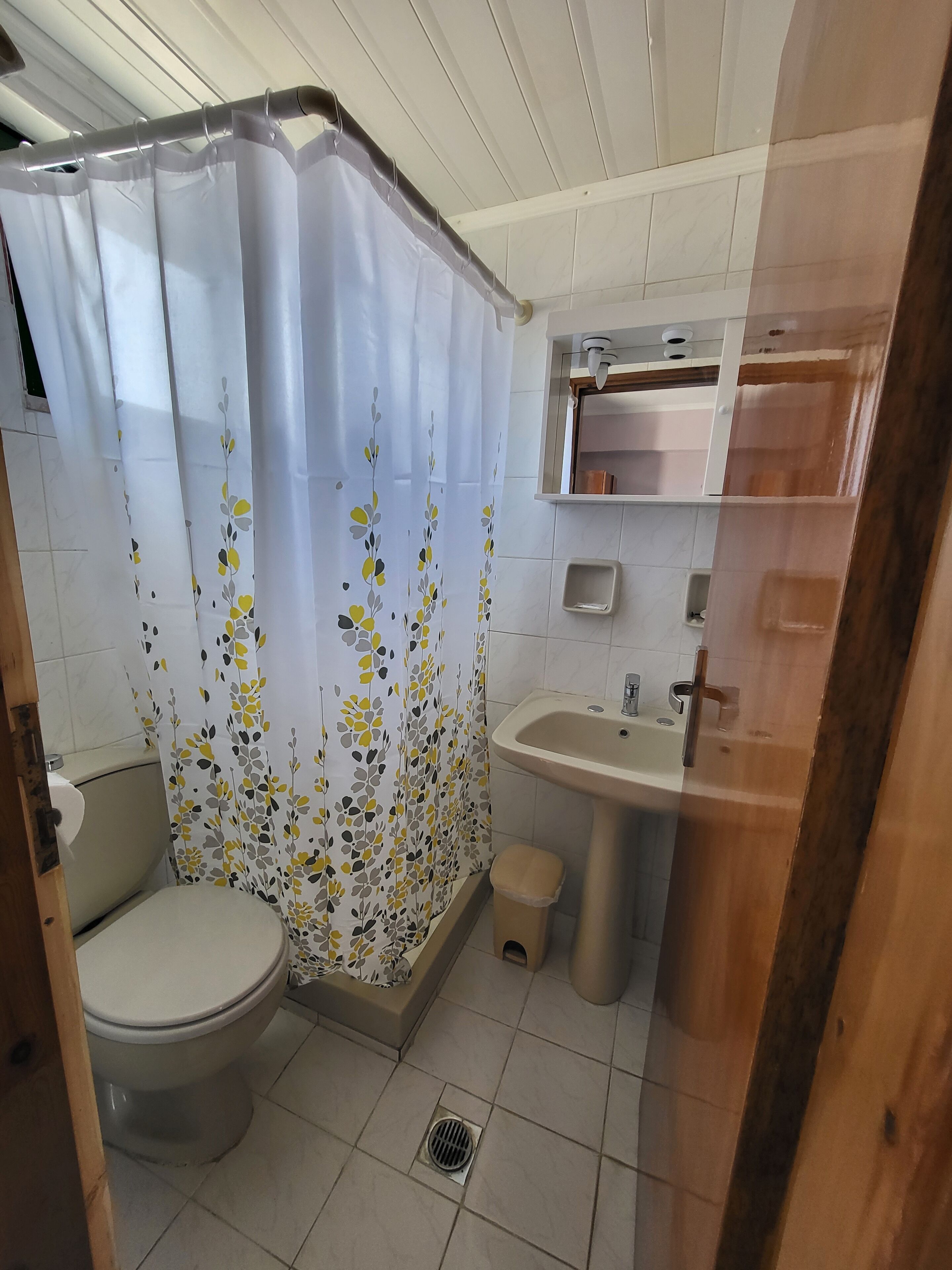 Ein Badezimmer mit Toilette, Waschbecken und Duschvorhang.