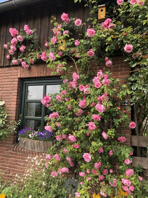 A brick building with a window and a wooden fence. - Vacation home with a garden—a cottage on the Baltic Sea   (Schönberg)