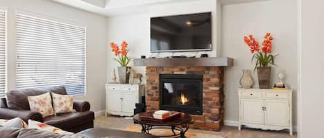 TV, fireplace, video games, DVD player