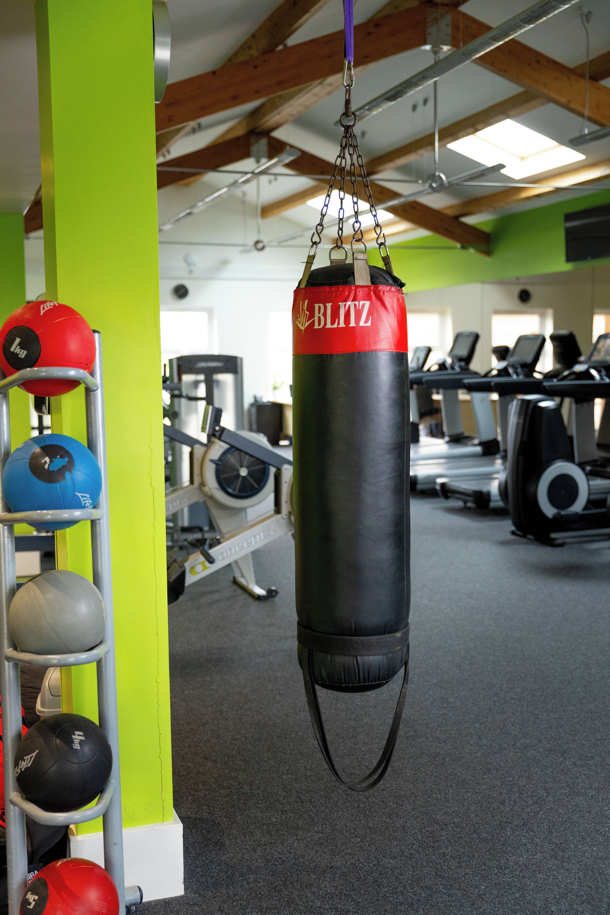 Un gimnasio con un saco de boxeo, pelotas de ejercicio y equipo cardiovascular.