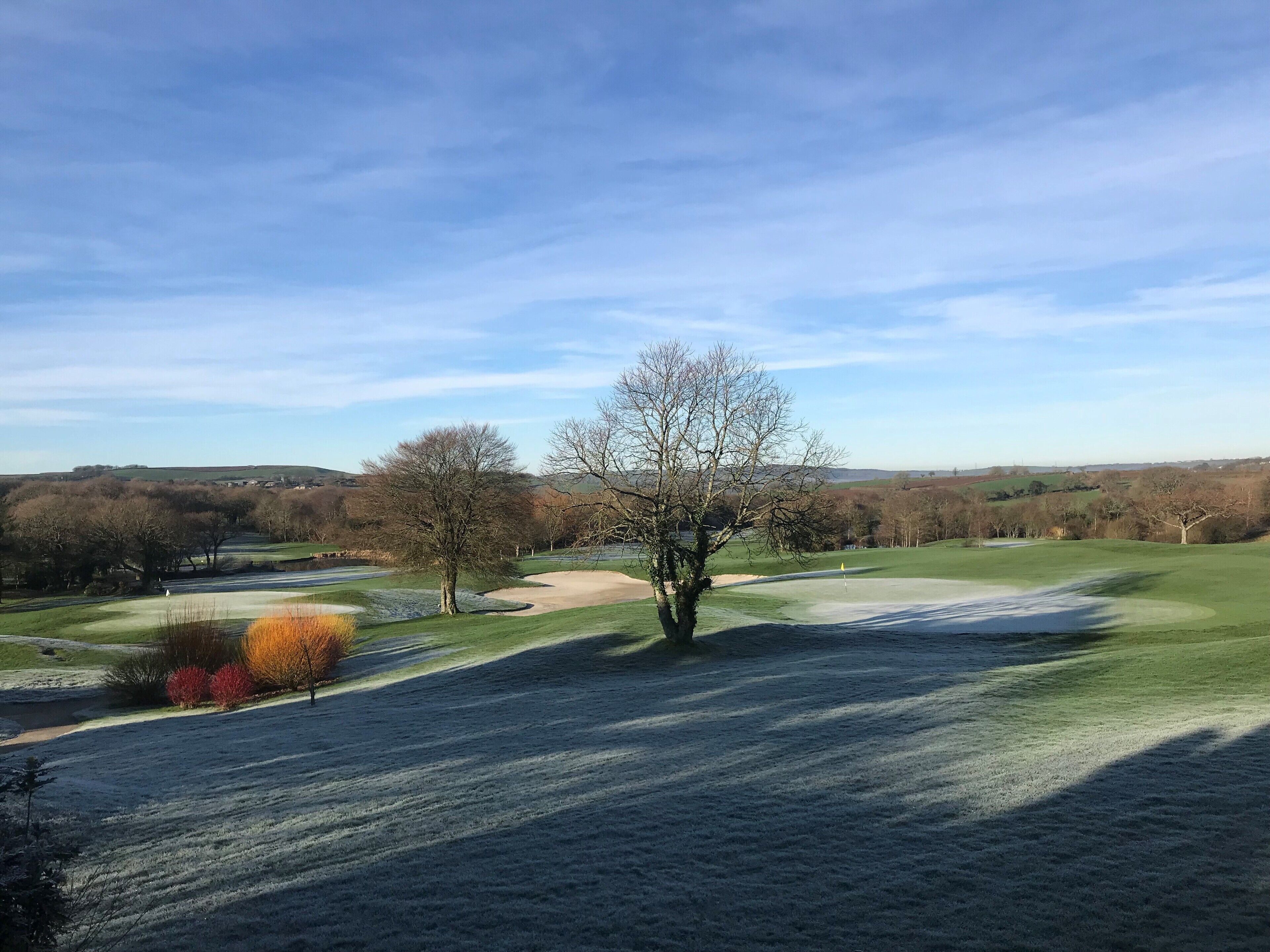A golf course with a clear sky, a large tree, and a distant view of hills.